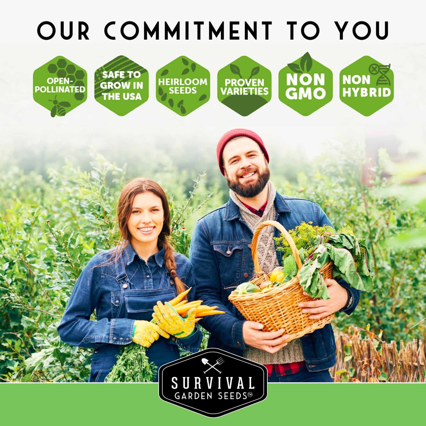 Apartment Kit Seed Vault - 20 Container Friendly Varieties