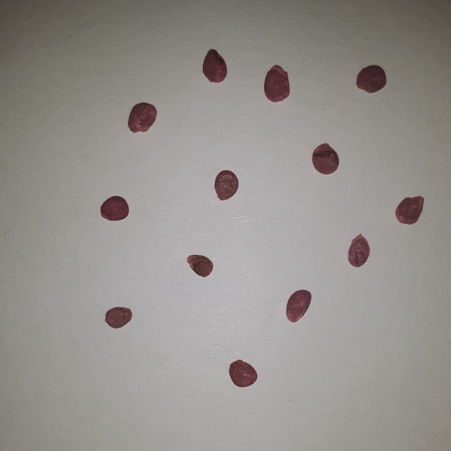 Juliet Treated Hybrid Paste Tomato Seeds