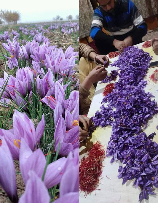 Kashmiri Saffron, Certified Organic