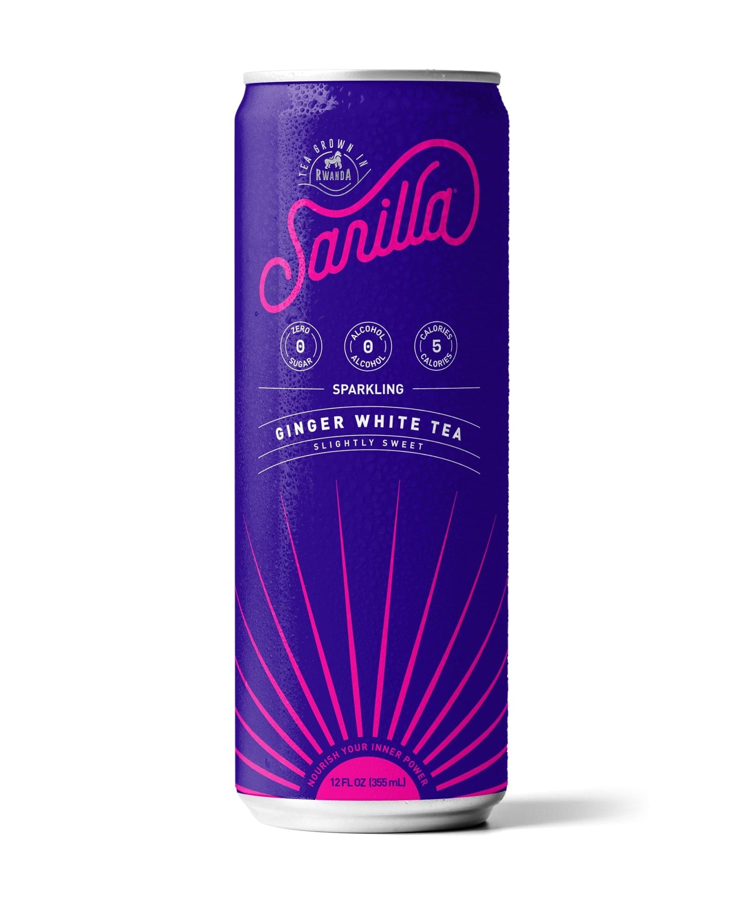 Sarilla Organic Ginger Antioxidant Spritzer - 12 Cans
