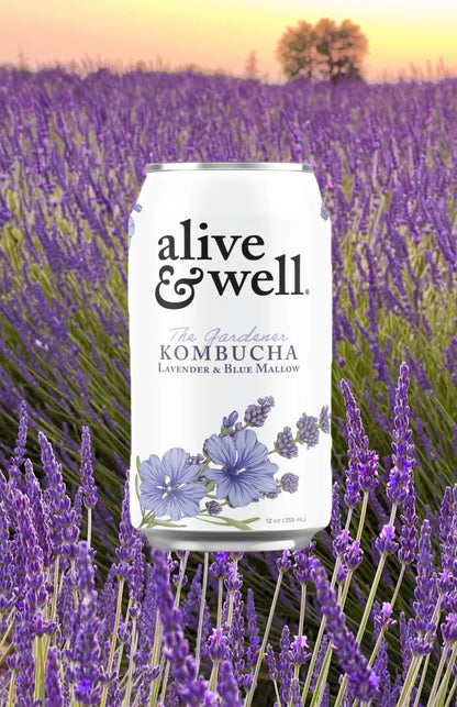 Lavender & Blue Mallow Kombucha Organic Bubble Goods