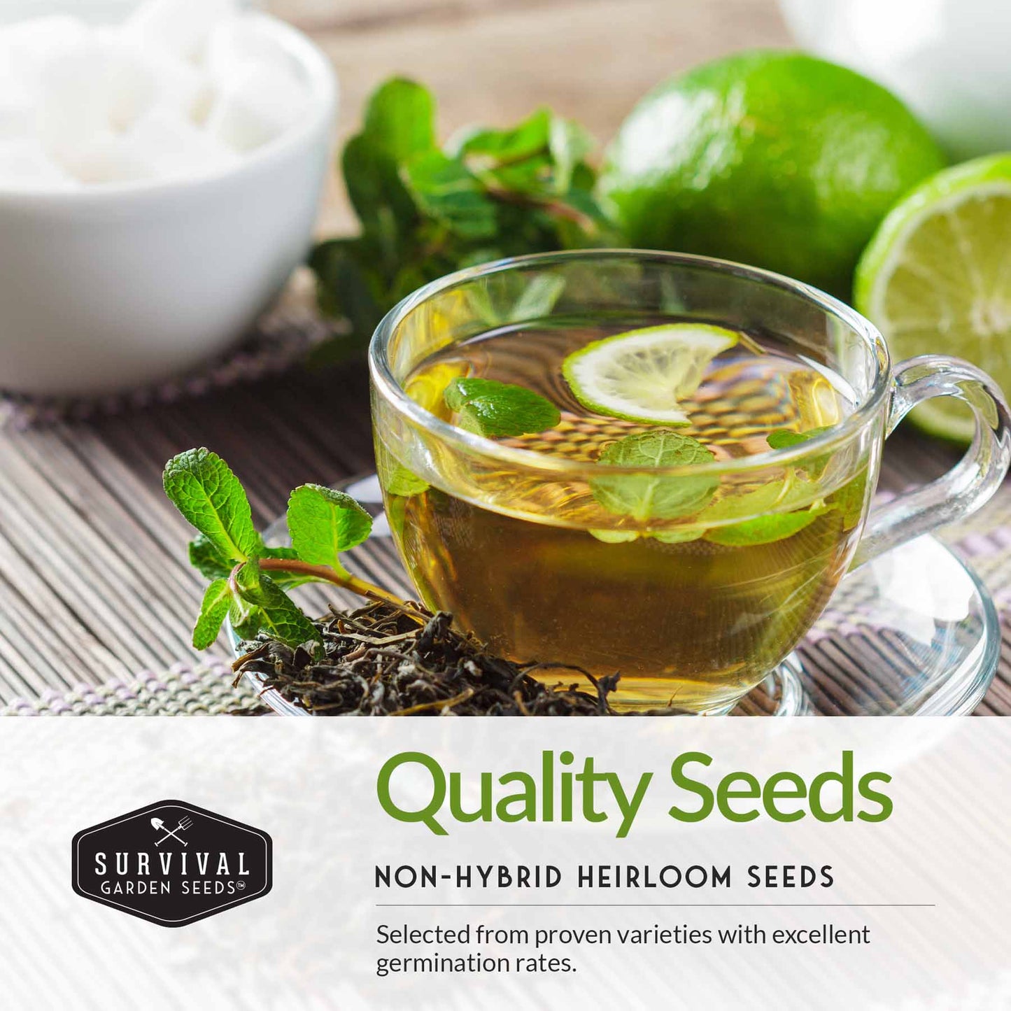 Medicinal Tea Seed Collection - 9 Flowers and Herbs for Medicinal Tea