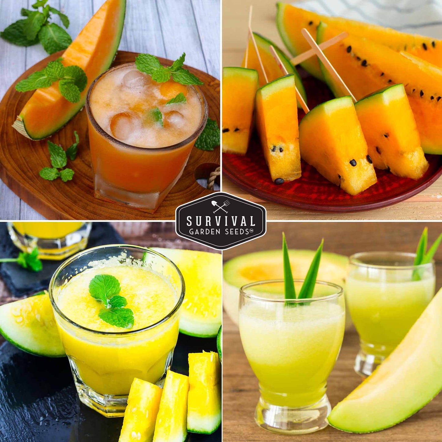 Melon Seed Collection - 6 Melons and Cantaloupes