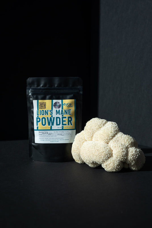 Organic Lion's Mane powder by MyCo Planet