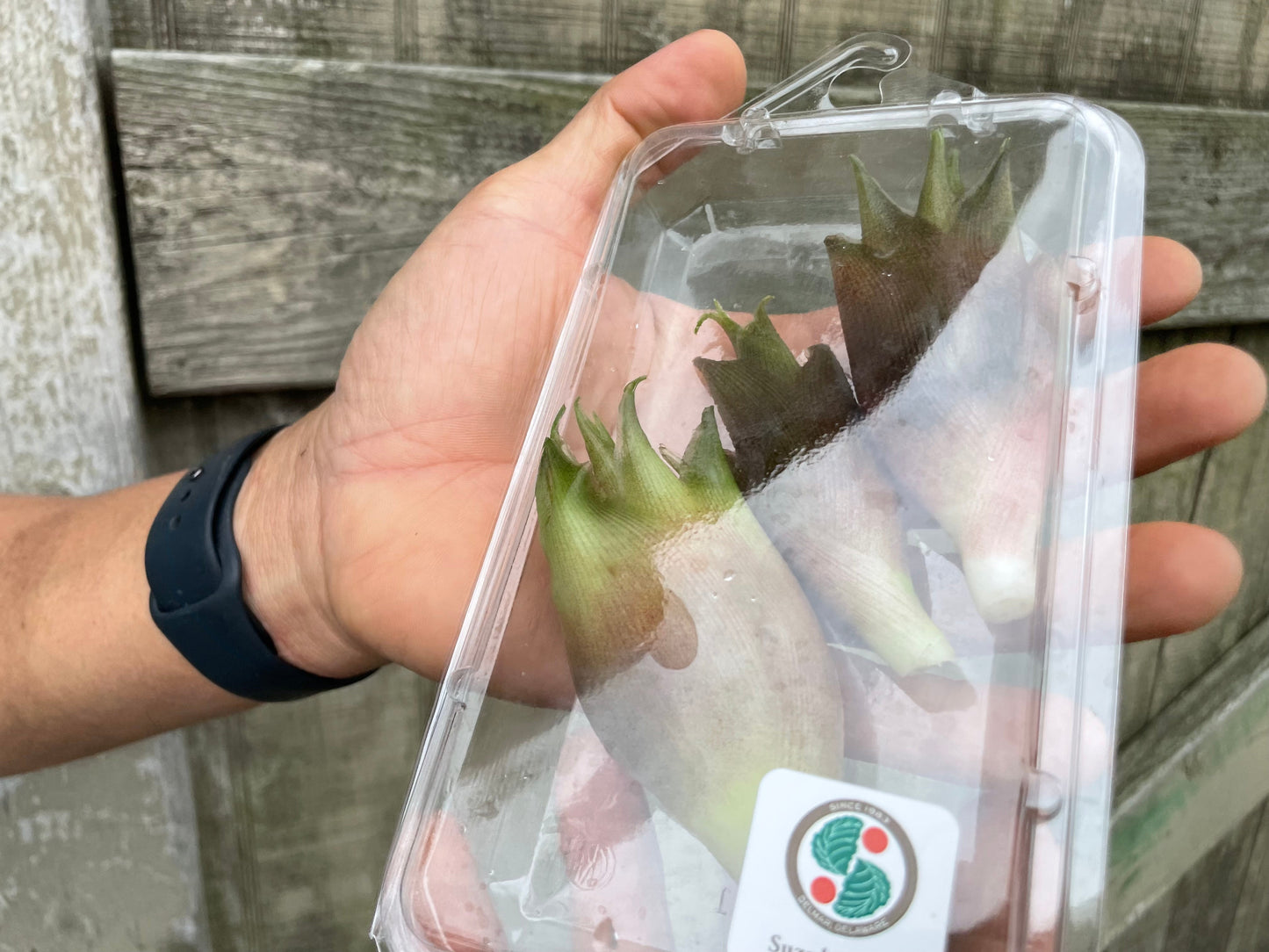 MYOGA Ginger | Suzuki Farm | 1 pack