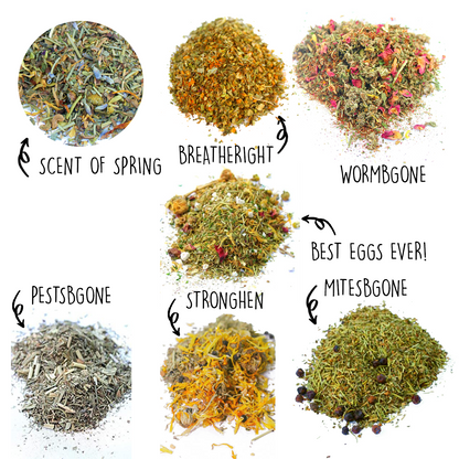 Nesting Herb Starter Bundle-- 7 Different Nesting & Coop Herbs