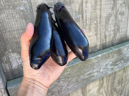 NASU Eggplant | Suzuki Farm | 3 pc "+ 2 pc EXTRA!"