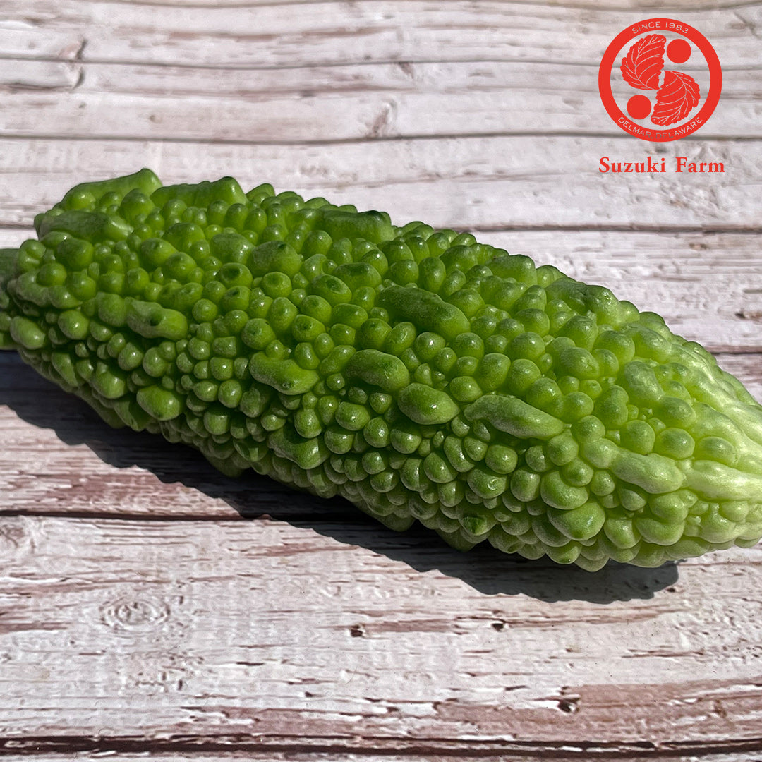 NIGAURI Bitter melon | Suzuki Farm | 2pc