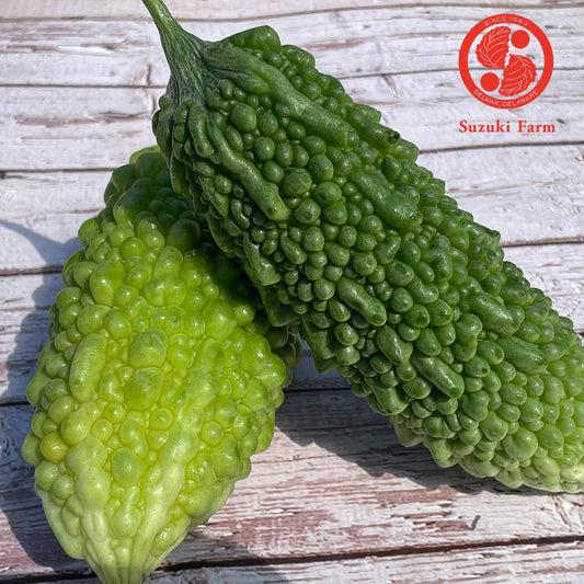 NIGAURI Bitter melon | Suzuki Farm | 2pc