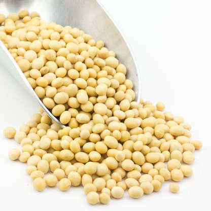 Soy Beans, Organic, Dry Legumes from Country Life Natural Foods