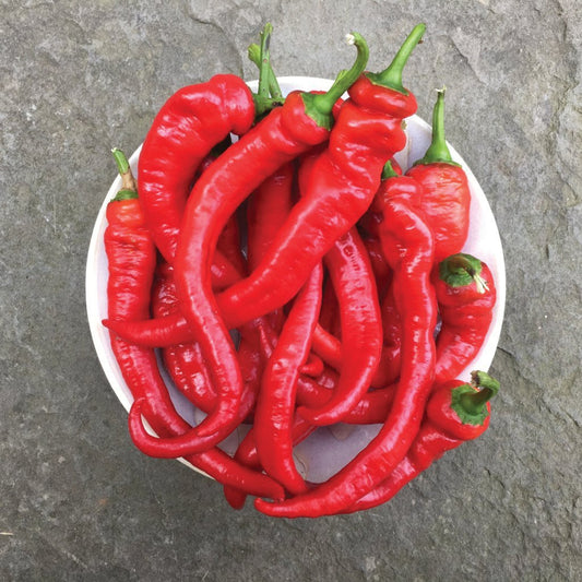 Jimmy Nardello Pepper