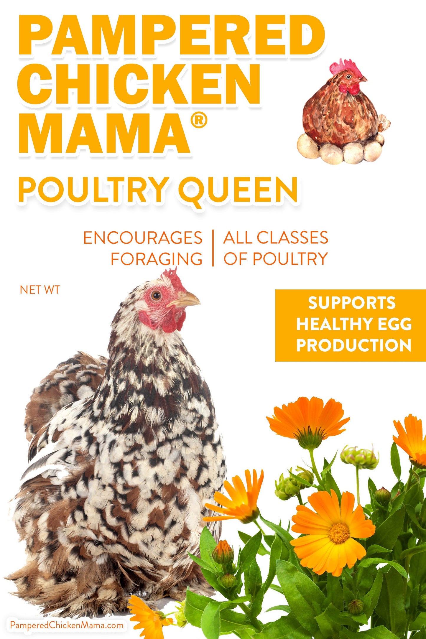 Poultry Queen Mealworm, Premium Corn, Flax Seeds, & Herb Treat For Pet Chickens