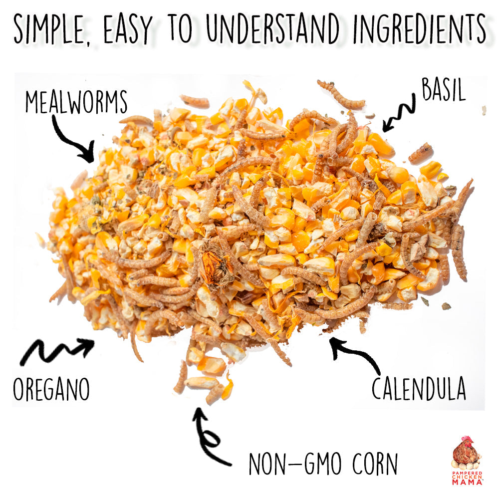 Poultry Queen Mealworm, Premium Corn, Flax Seeds, & Herb Treat For Pet Chickens