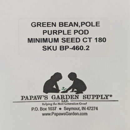 Purple pod Heirloom Pole Bean Seeds