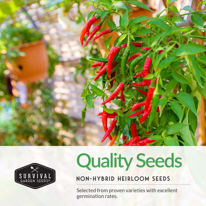 8 Peppers Seed Collection  - Sweet & Hot Peppers
