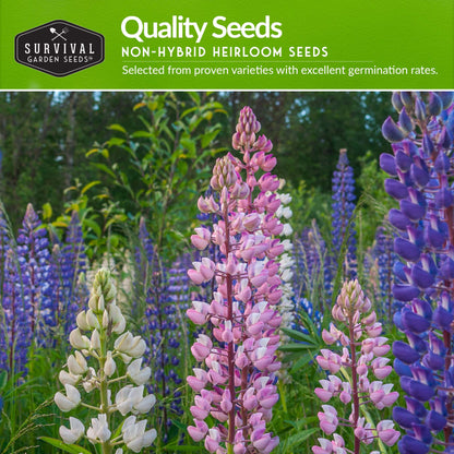 Perennial Flowers Mix - Shasta Daisy, Echinacea, Russell Lupine, Rose Mallow, Blue Sage, and Perennial Wildflower Mix