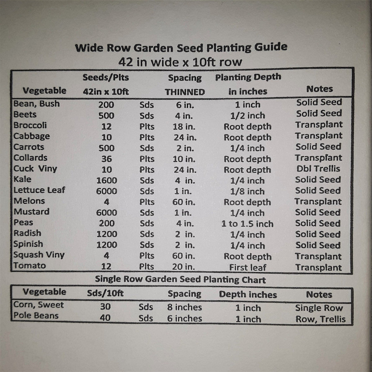 Gypsy Hybrid Broccoli Seeds, image 6 of 7