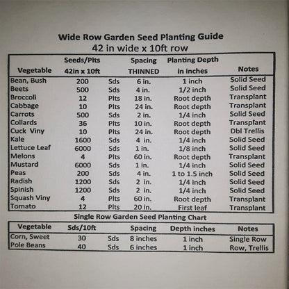 Health Kick Hybrid Paste Tomato Seeds