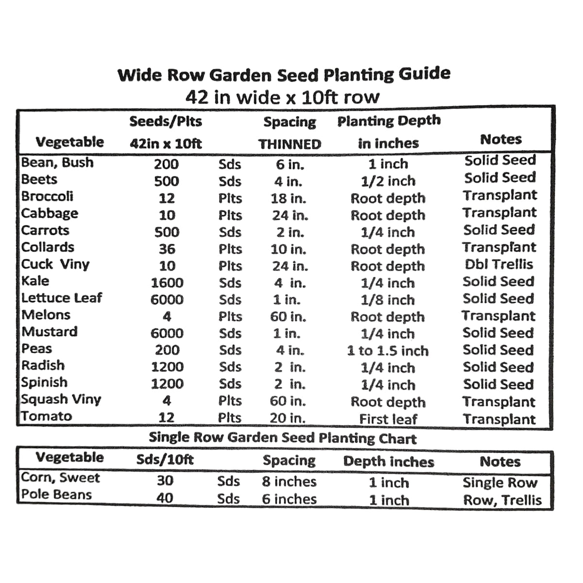 Cash Flow Hybrid Zucchini Summer Squash Seeds, image 4 of 5