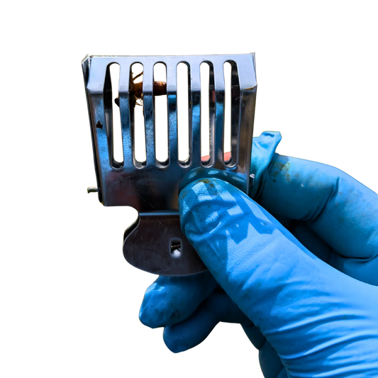 Queen Clip Stainless Steel, image 2 of 7