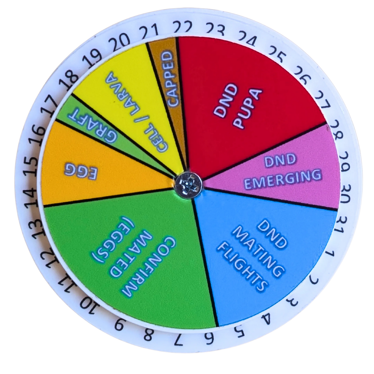 Queen Right Dial - Mating Indicator by Foxhound Bee Company