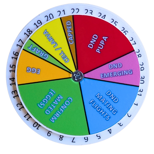 Queen Right Dial - Mating Indicator by Foxhound Bee Company