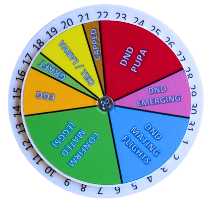 Queen Right Dial - Mating Indicator