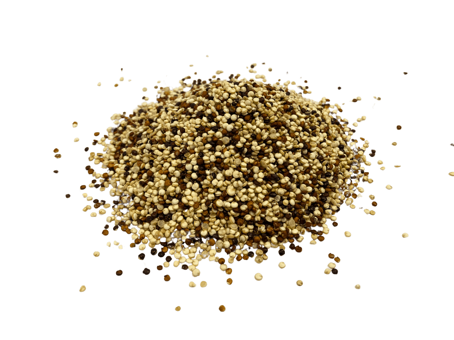 Quinoa, Tri-Color, Organic