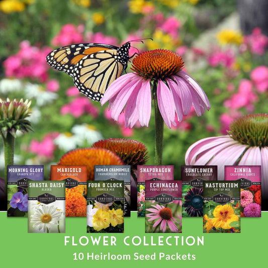 10-Variety Heirloom Flower Seed Collection – Non-GMO Annuals & Perennials for Colorful, Pollinator-Friendly Gardens