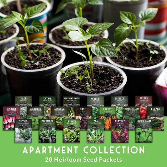 20 Variety Apartment Kit Seed Vault – Non-GMO Heirloom Seeds for Hydroponic & Indoor Small-Space Gardening