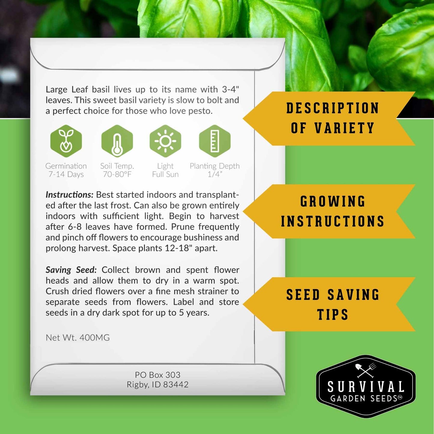 5 Basil Seed Collection – Genovese, Holy (Tulsi), Large Leaf, Opal & Thai Basil Seeds for Culinary and Herbal Gardens