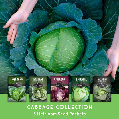 5-Variety Heirloom Cabbage Seed Collection – Non-GMO Green, Red & Napa Cabbages for Spring and Fall Gardens