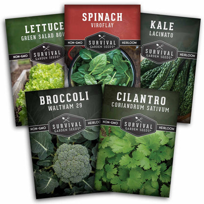Cool Weather Garden Seeds Collection – 5 Heirloom Non-GMO Vegetables for Fall & Spring Planting | Cold-Hardy Greens & Herbs