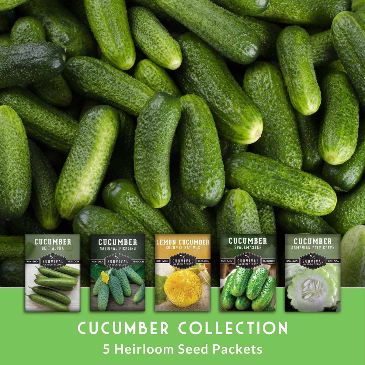 Cucumber Seed Collection – Armenian, Beit Alpha, Lemon, National Pickling & Spacemaster Varieties