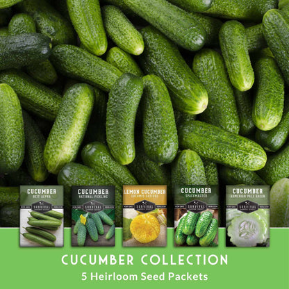 Cucumber Seed Collection – Armenian, Beit Alpha, Lemon, National Pickling & Spacemaster Varieties