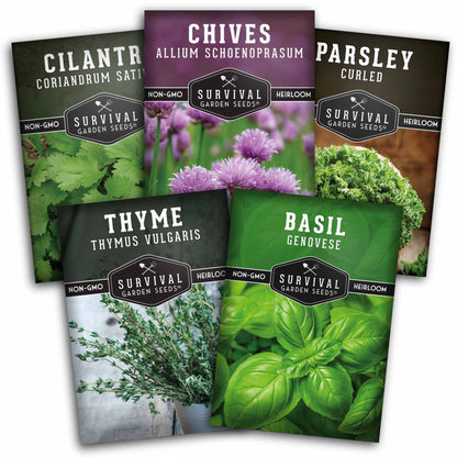 Culinary Herb Seed Collection – 5 Essential Kitchen Herbs for Indoor or Outdoor Growing