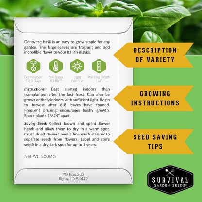 Culinary Herb Seed Collection – 5 Essential Kitchen Herbs for Indoor or Outdoor Growing