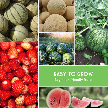 8-Variety Heirloom Fruit Seed Collection – Non-GMO Strawberry, Melon & Watermelon Seeds for Home Gardens
