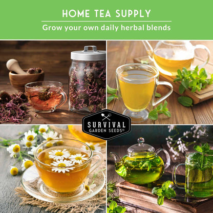 Herbal Tea Garden Seeds Kit – 5 Heirloom Medicinal Herbs for Soothing Teas, Remedies & Pollinator-Friendly Gardens