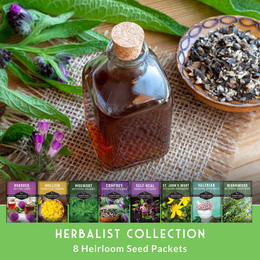 Herbalist Bundle – 8-Varieties of Heirloom Perennial & Biennial Healing Plants for Advanced Apothecary Gardens