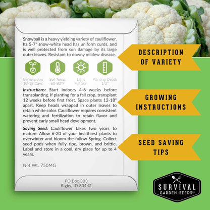 Indian Vegetable Seed Collection – 10 Heirloom Non-GMO Seeds for Authentic Indian Cuisine and Home Gardens