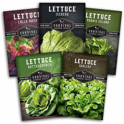 Lettuce Seed Collection – 5 Heirloom Varieties for Year-Round Harvest | Buttercrunch, Oakleaf, Lolla Rosa, Iceberg & Parris Island