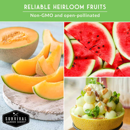 Melon Seed Collection – 6 Heirloom Varieties of Watermelon, Cantaloupe & Honeydew for High-Yield Summer Gardens