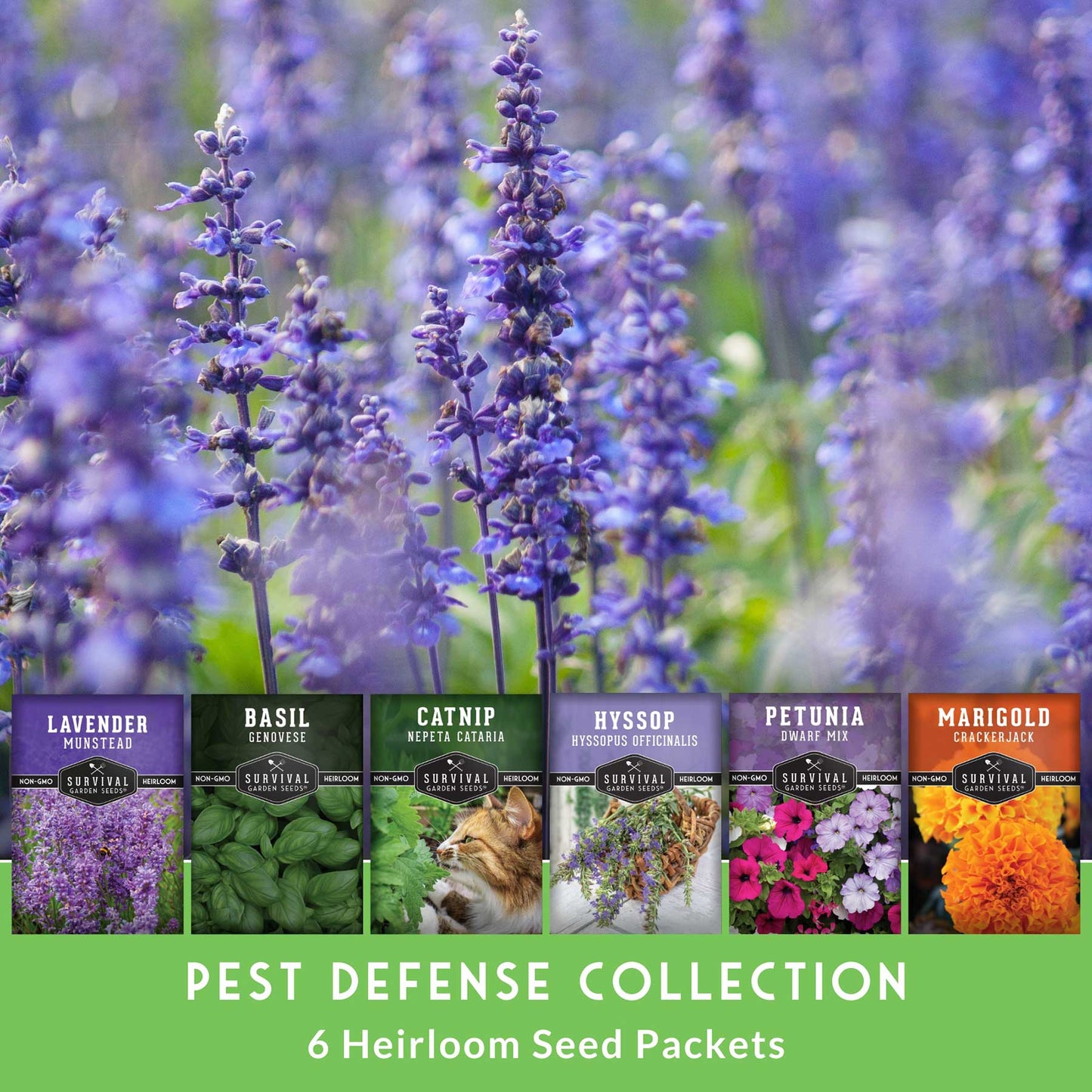 Pest Defense Seed Collection – 6 Heirloom Herbs & Flowers for Natural Garden Protection