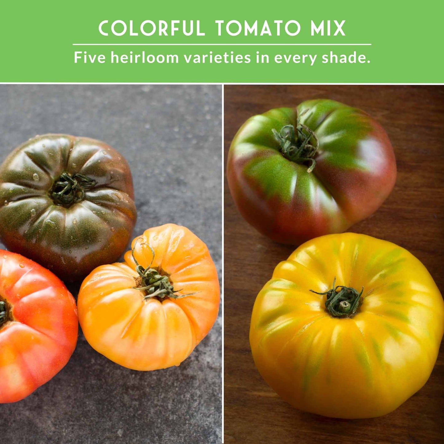 Colorful Tomato Seed Collection – Heirloom Rainbow Mix for Unique Flavors, Slicing & Summer Harvests