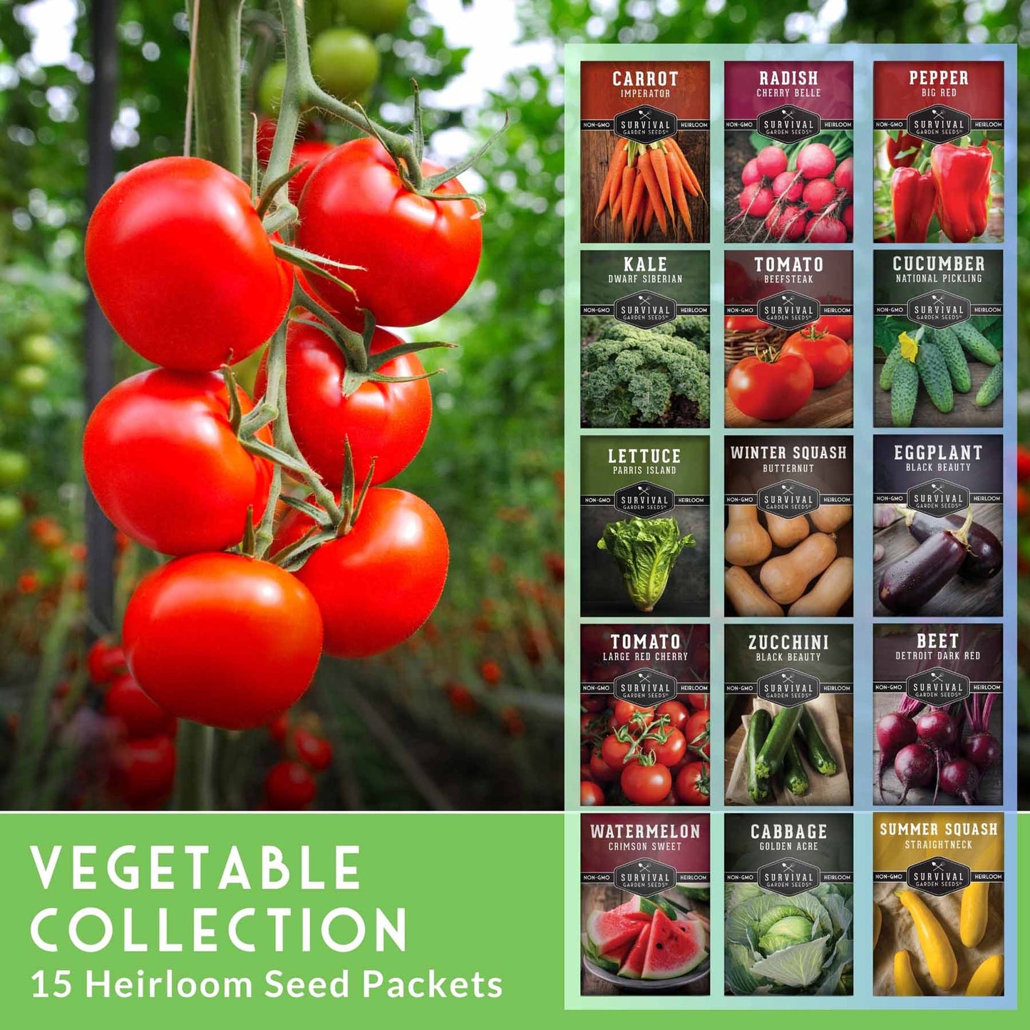 15 Variety Vegetable Garden Seed Collection – Non-GMO Heirloom Survival Seed Vault for Year-Round Growing