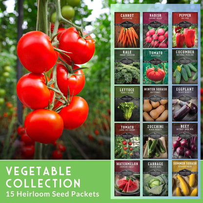 15-Variety Non-GMO Heirloom Vegetable Seed Collection