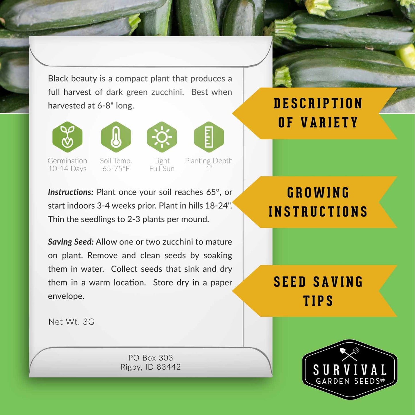 Zucchini & Squash Collection - Golden, Round, Black Beauty, Straight Neck Summer Squash