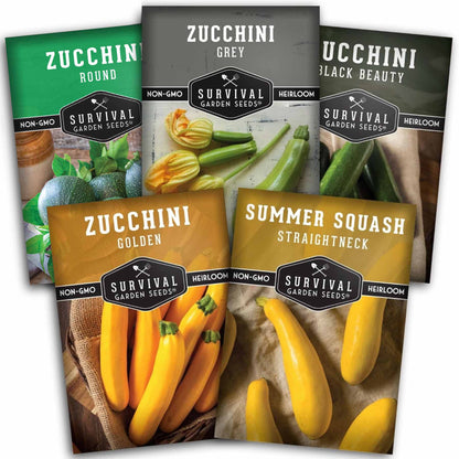 Zucchini & Summer Squash Seed Collection – Black Beauty, Round, Golden, Grey Zucchini & Straight Neck Yellow Squash
