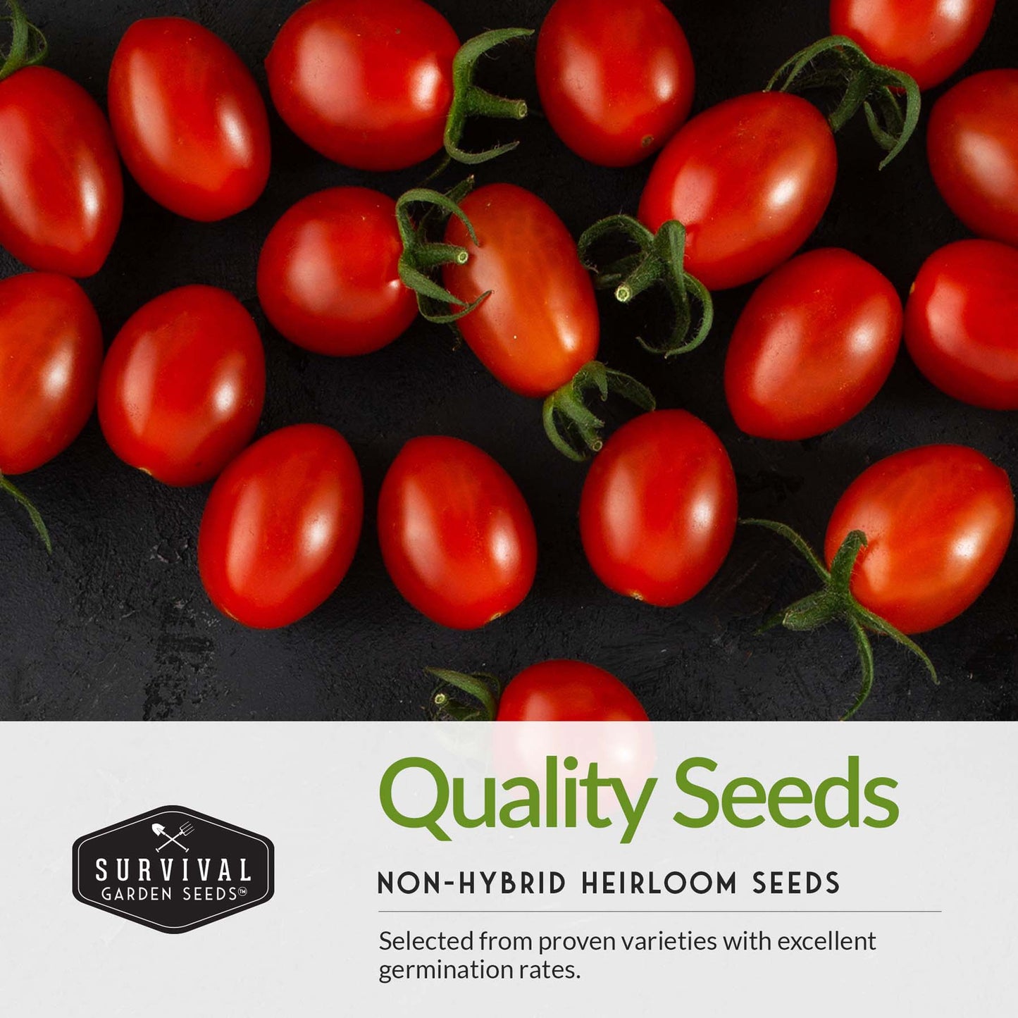 Salsa Ingredients Seed Collection